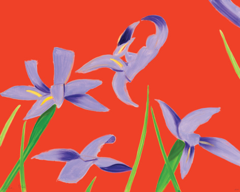Alex Katz Purple Irises on Red, 2023 signed bottom left front archival pigment inks on 315 gsm fine art paper 24 x 30 inches Edition 25 of 100