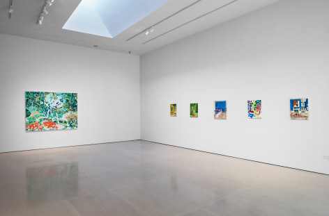 Tim Braden: The Colouring Garden Installation View