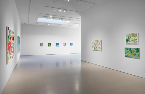 Tim Braden: The Colouring Garden Installation View