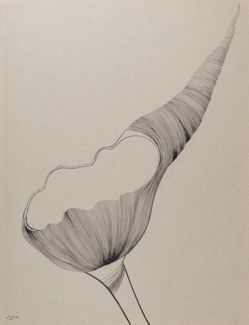 Dorothy Hood Untitled, 1960s pen and ink on gray Canson paper paper: 25 1/4 x 19 1/2 inches frame: 31 6/8 x 25 15/16 inches signed bottom left front