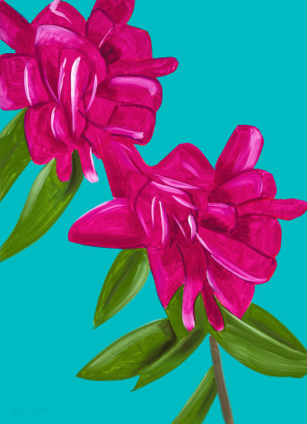 Alex Katz Peonies (from Flowers Portfolio), 2021 hand signed and numbered by the artist archival pigment inks on Innova etching cotton rag 315 gsm paper: 47 x 34 inches Edition 25 of 100