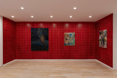 installation view of paintings of birds in a red room