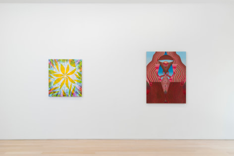 installation view