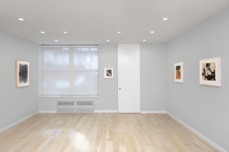 installation view of abstract paintings and drawings