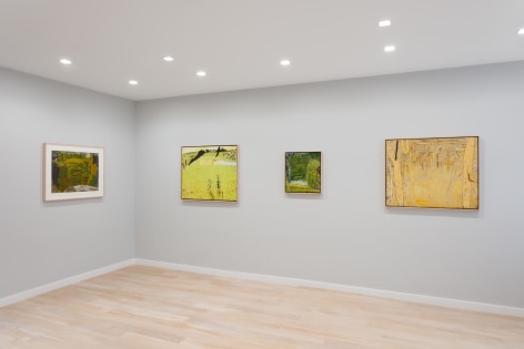 Installation view of landscape paintings by Tom Fairs