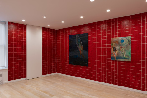 installation view of paintings of birds in a red room