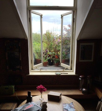 image of a window with lots of foliage in the background