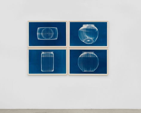 Michael DeLucia Untitled (fishbowl 4-views)