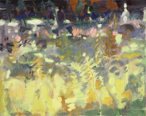 Poet's Meadow no. 2, 2023 Oil on linen 16 x 20 inches