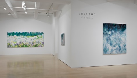 Installation view of Eric Aho: Wild Meadow