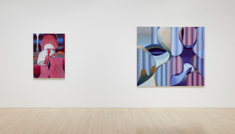 Installation view of Theresa Daddezio: Bloom