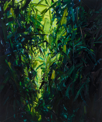 Claire Sherman, Leaves and Vines, 2017