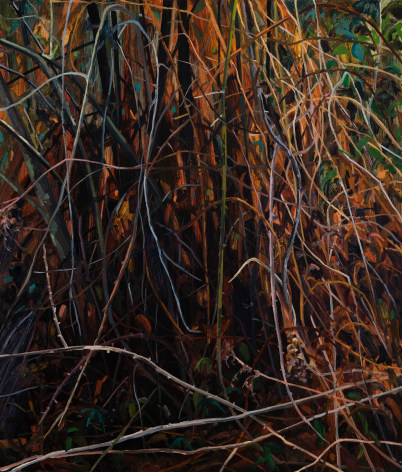 Underbrush, 2023. Oil on canvas, 42 x 36 inches