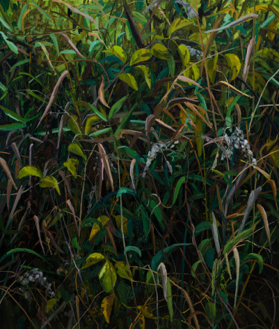 Leaves and Vines, 2022. Oil on canvas, 42 x 36 inches