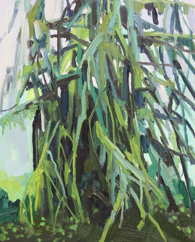 Tree and Moss, 2016, Oil on panel