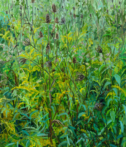 Wildflowers, 2025 Oil on canvas 42 x 36 inches