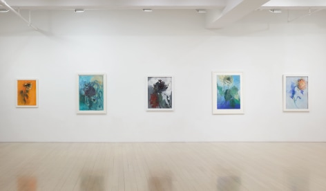 Installation view of &quot;Jimmy Wright: Emotional Repositories&quot;