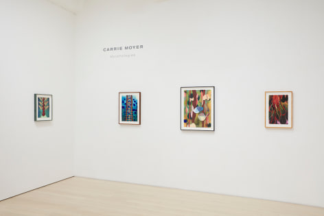 Installation view, Carrie Moyer: Morphologies, 2022, DC Moore Gallery