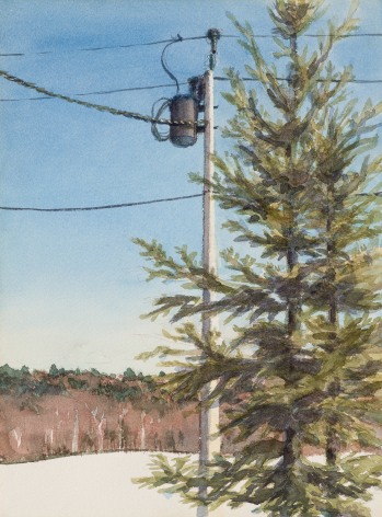 Pine and Pole, 1972 Watercolor and pencil on paper 11 x 8 1/2 inches