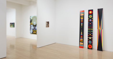 Installation view of Earthbound