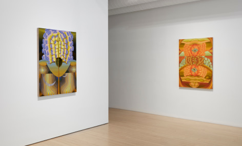 Installation view of Theresa Daddezio: Bloom