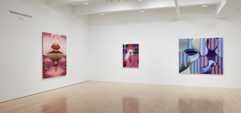 Installation view of Theresa Daddezio: Bloom