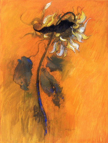 Black Leaf, 2005. Pastel on paper, 29 1/2 x 22 1/2 inches