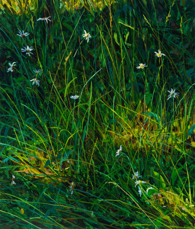 Claire Sherman Wildflowers, 2023 Oil on canvas 42 x 36 inches