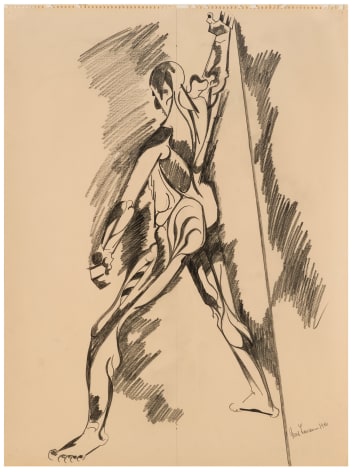 Figure Study after Vesalius (&frac34; Back with Line and Shading), 1980 Graphite on paper 24 x 18 inches