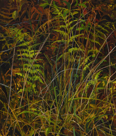 Claire Sherman Ferns and Grass, 2020
