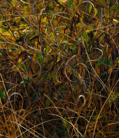 Grass, 2025 Oil on canvas 30 x 26 inches