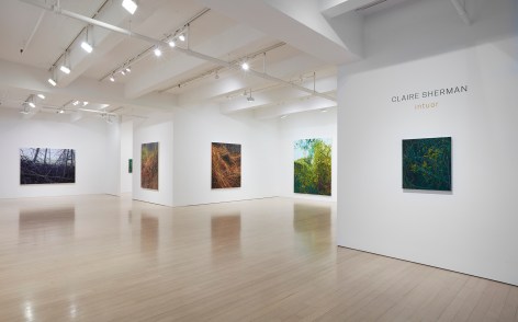 Installation view of Claire Sherman: Intuor