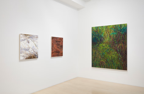 Installation view of Claire Sherman: Intuor