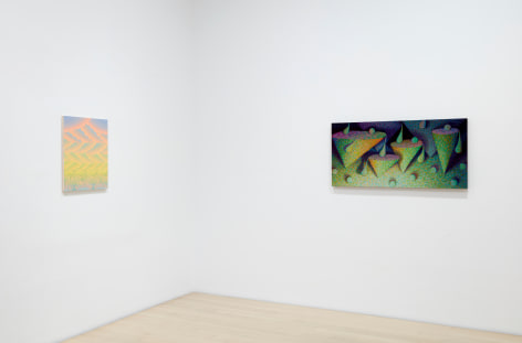 Installation view of Earthbound