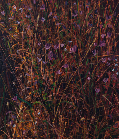 Wildflowers, 2023. Oil on canvas, 42 x 36 inches
