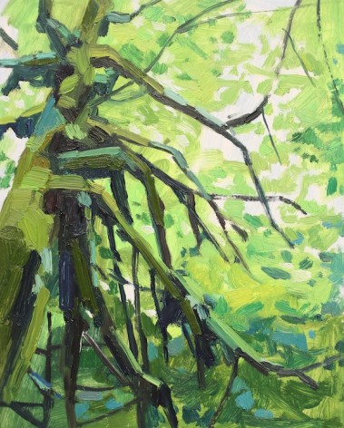 Tree and Moss, 2016, Oil on panel