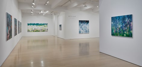 Installation view of Eric Aho: Wild Meadow