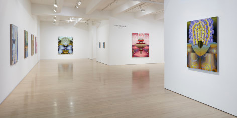 Installation view of Theresa Daddezio: Bloom