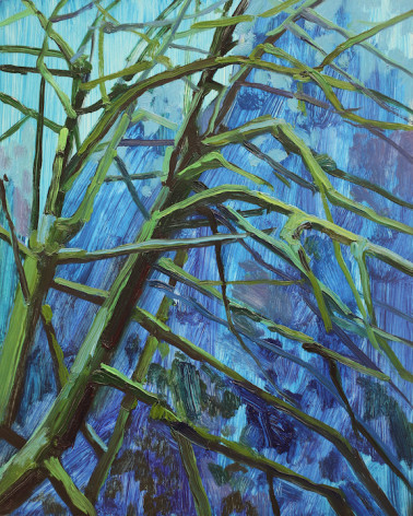 Trees and Moss, 2016, Oil on panel