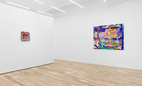 Carolyn Case Wild Domestic Installation View