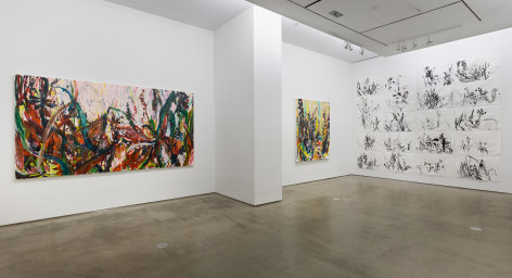 Installation view of Allison Gildersleeve's solo exhibition. Depicting abstracted floral paintings and drawings on the wall