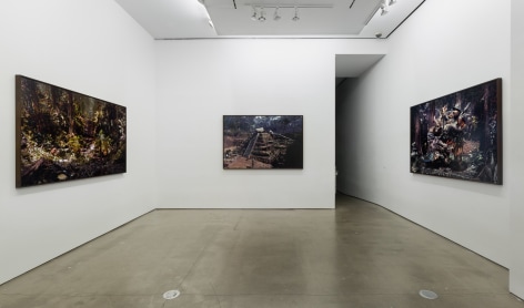 An installation view of Jasper de Beijer's exhibition, &quot;The Brazilian Suitcase&quot;. Framed photographs are on the walls.