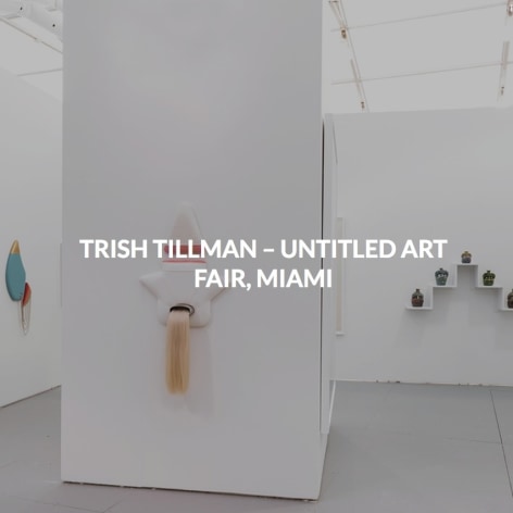 Trish Tillman- Untitled Art Fair, Miami