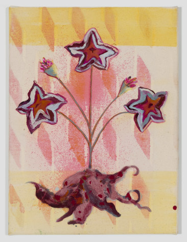 Paintings on canvas by Angelina Gualdoni