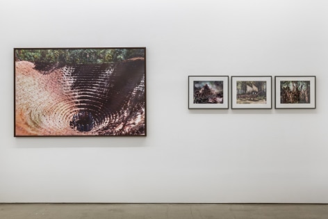 An installation view of Jasper de Beijer's exhibition, &quot;The Brazilian Suitcase&quot;. Large and small framed photographs are on the walls.