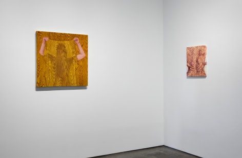 Installation view of Katarina Riesing &quot;She Shed&quot;