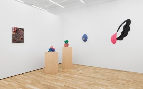 Installation view of Banshees Remix