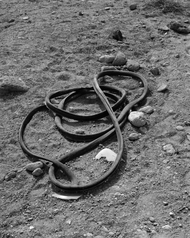 Photograph by Rodrigo Valenzuela