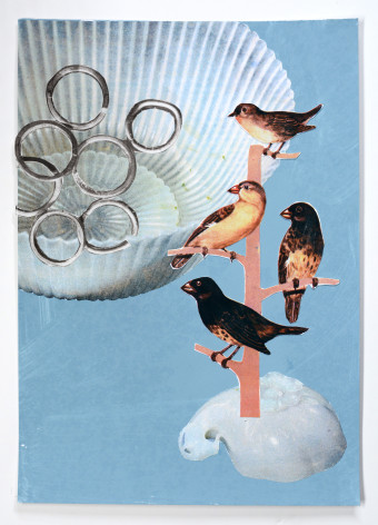 Work on paper by Marjolijn de Wit