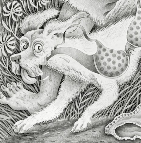 Drawing detail by Rebecca Morgan